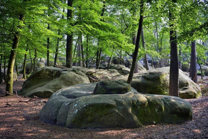 Maison De Charme En Foret De Fontainebleau Recloses Ngoại thất bức ảnh